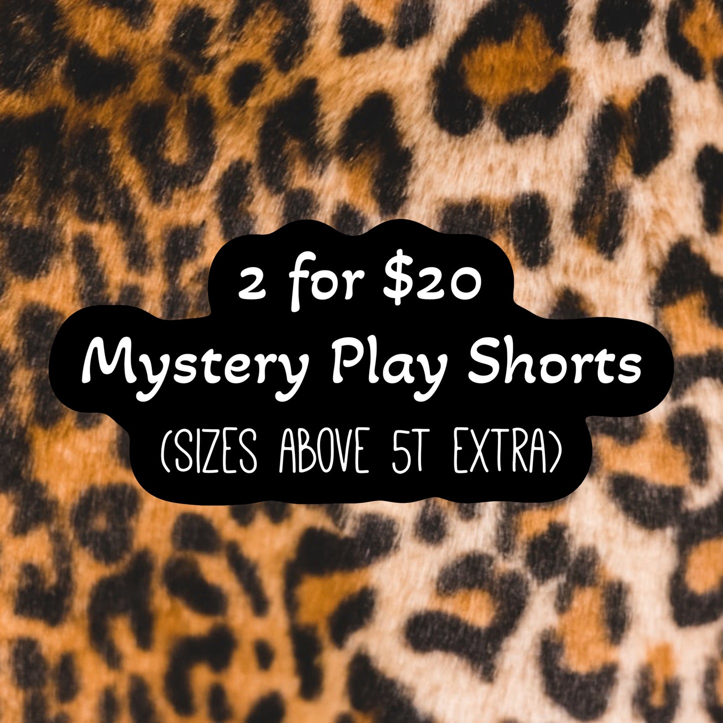 2/20 Mystery Kids Play Shorts