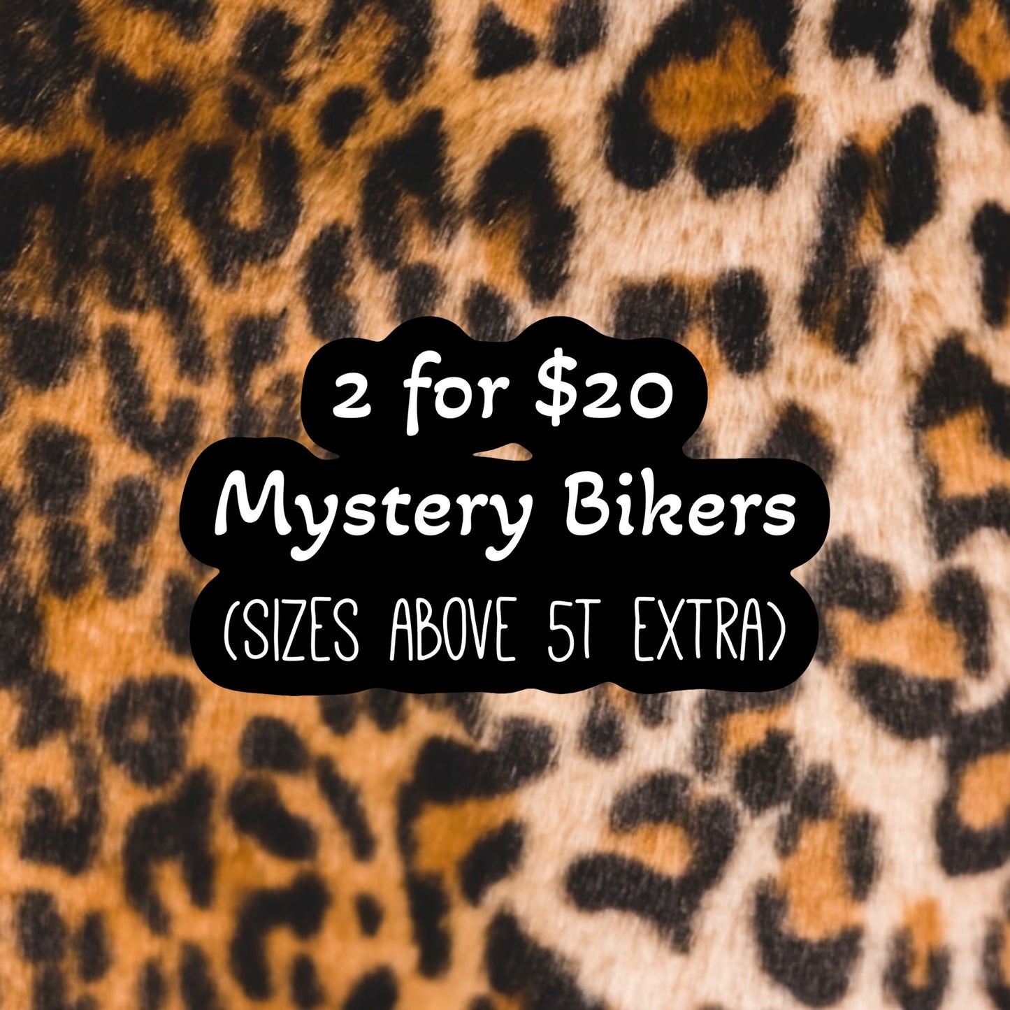 2/20 Mystery Kids Bikers