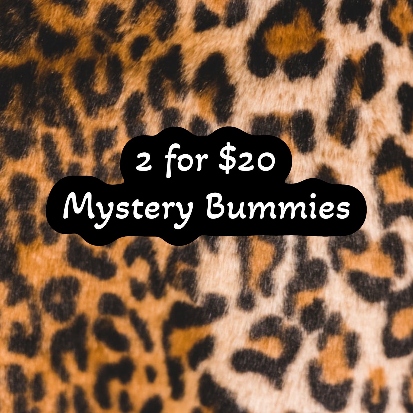 2/20 Mystery Kids Bummies